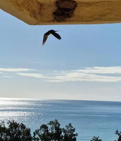 3 Con Piscina Y Vistas Al Mar Benicassim